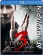 Ip Man 3 (2015) Hindi Dubbed Movies