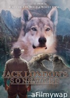 Jack Londons Son of the Wolf (2024) HQ Hindi Dubbed Movie