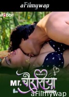 Mr Chourasiya (2024) S02 Part 2 Habbitmovies Hindi Hot Web Series