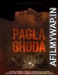 Pagla Ghoda (2017) Hindi Full Movie