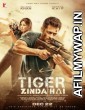 Tiger Zinda Hai (2017) Hindi Movie