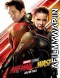  AntMan and the Wasp (2018) English Full Movies